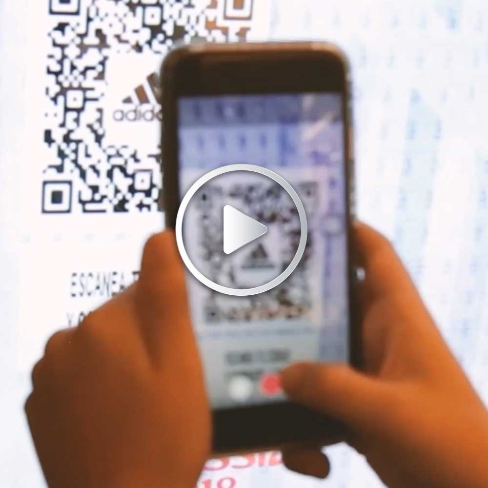 Galería de Proyectos